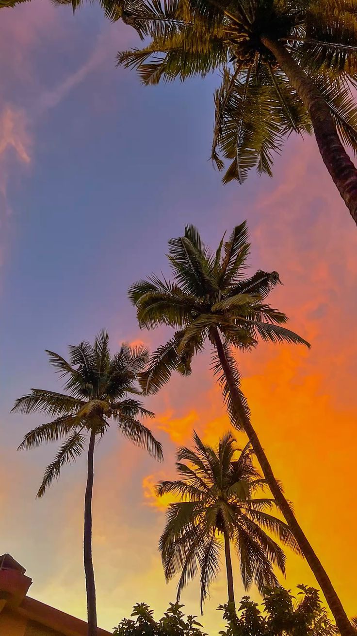 tropical house at dusk