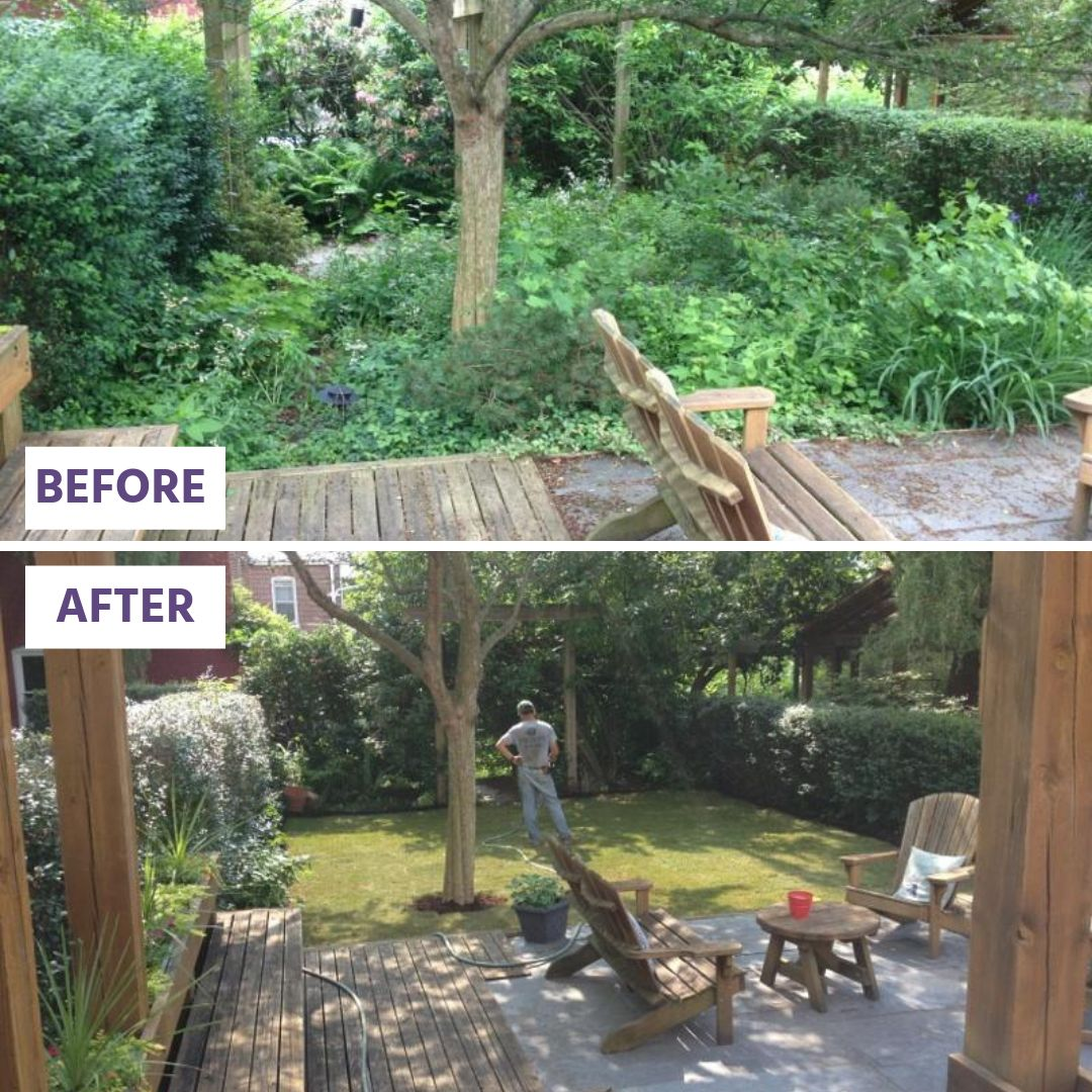 overgrown lot cleared and sprayed